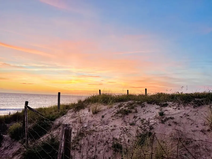 Dune et ganivelles au coucher du soleil